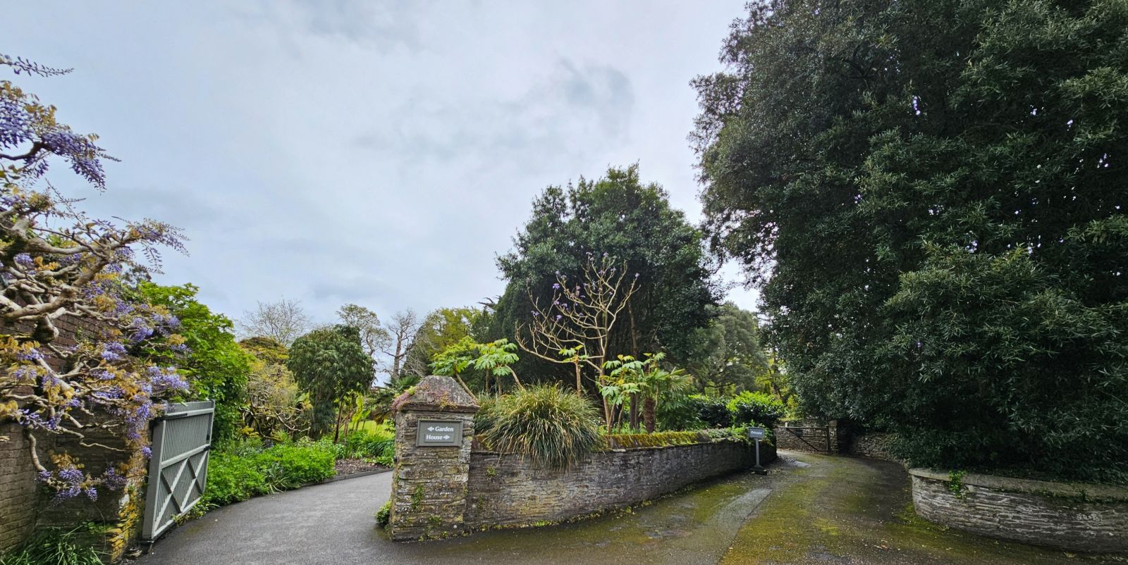trelissick-cornouailles-angleterre-mundi-plantarum
